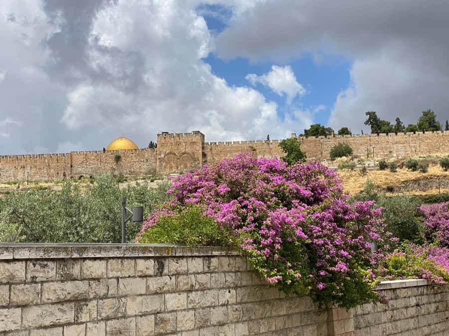 Jerusalem: 3–Hour Old City Tour in French - Through the Jewish Quarter toward the Western Wall
