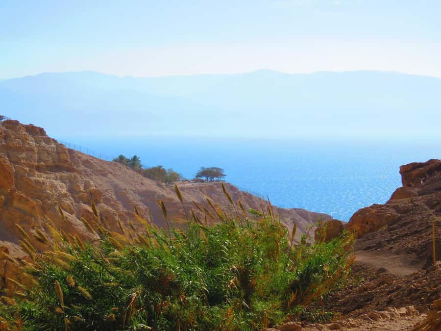 Jerusalem: Masada, Ein Gedi & Dead Sea Tour - Who This Tour Fits Best (and Who Might Want a Different Day)