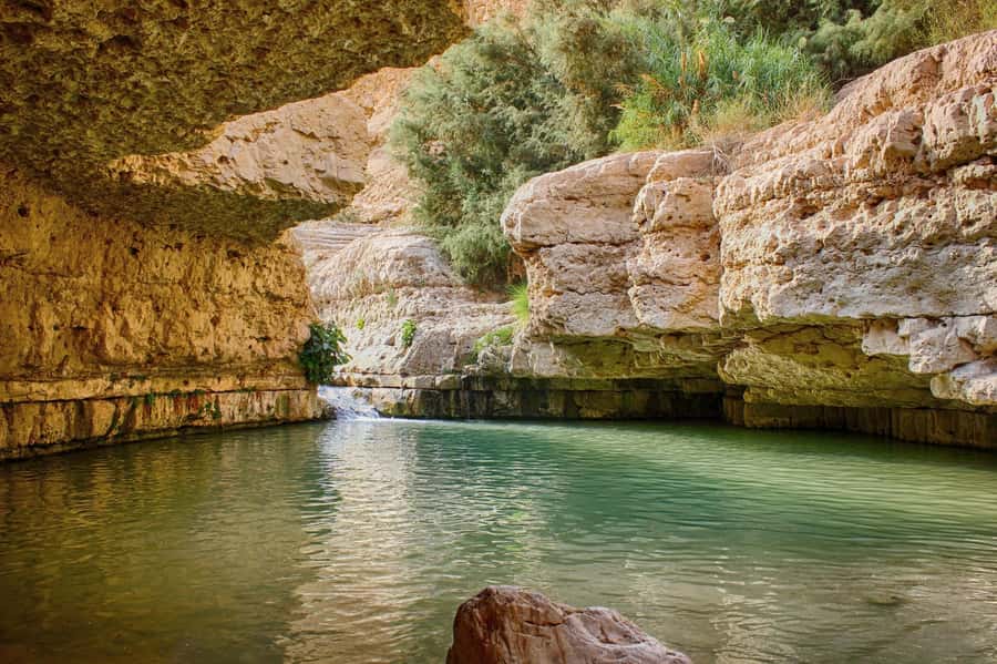 Jerusalem: Masada, Ein Gedi & Dead Sea Tour - Getting There From David Citadel Hotel: Comfort, Timing, and Desert Light