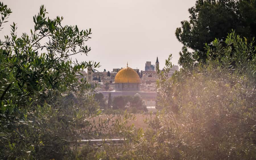 Jerusalem: Mount of Olives Guided Tour - What to bring and what to wear, because rules are real in holy sites