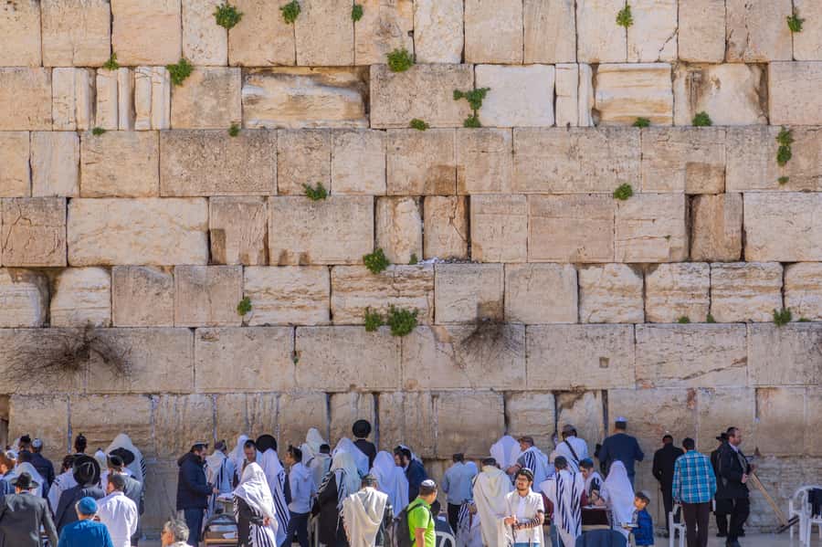 Jerusalem: Old City Morning Tour - Who this Jerusalem Old City morning tour suits best