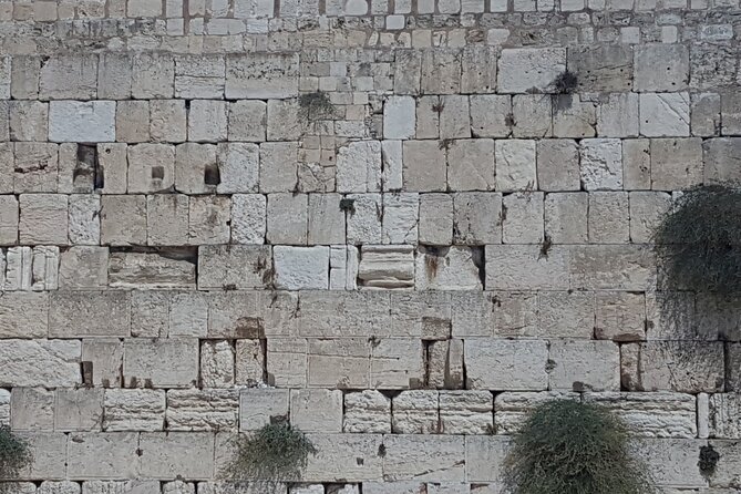 Jerusalem Private Full Day Tour - The Cenacle, Dormition Abbey, Zion Gate, Jewish Quarter, and Western Wall