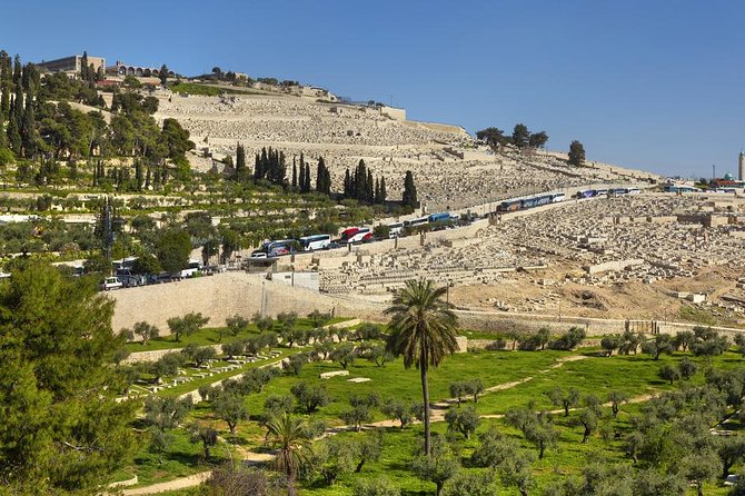 Jerusalem Temple Mount & Dome of the Rock - The Mount of Olives Hotel Stop: Your First Real Look at the Old City