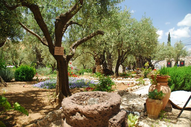 Jerusalem Tour from Tel Aviv: In the Footsteps of Jesus - Via Dolorosa first four stations, short segment, big atmosphere