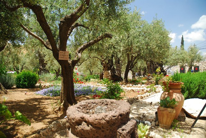 Jerusalem Walking Tour: In the Footsteps of Jesus - Entering Old City Jerusalem for Photo Time at Bethesda and the Sisters of Zion