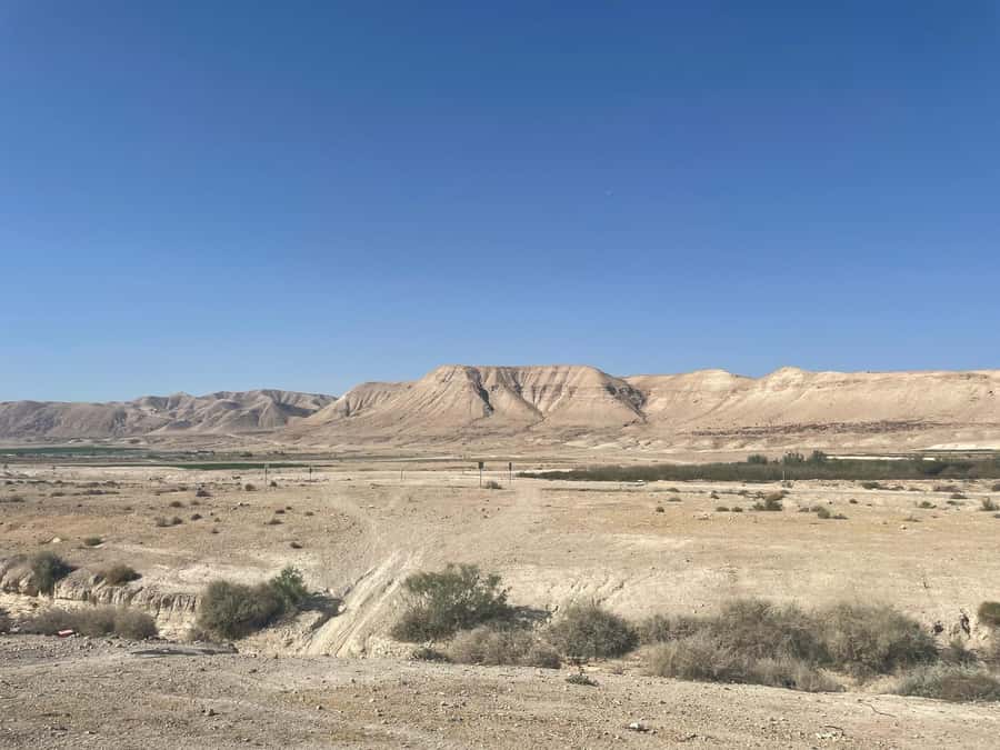 Masada Dead Sea: Small Group Tour from Tlv INCL. ENTRY FEES - Skip-the-line value and how the guide can change everything
