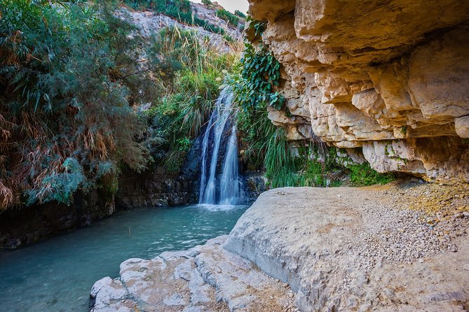 Masada, Ein Gedi, and The Dead Sea from Tel Aviv - Ein Gedi Nature Reserve: oasis hike, waterfall chances, and wildlife spotting