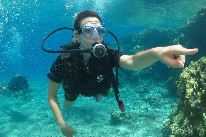PADI Open Water Diver Course - 5 Days Scuba Diving - From pool to coral reef: how the ten training sessions support certification