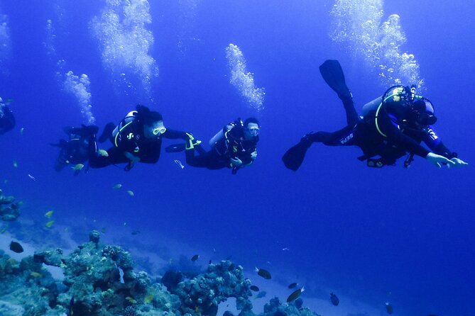PADI Open Water Diver Course - 5 Days Scuba Diving - Logistics that affect your daily comfort more than you’d expect