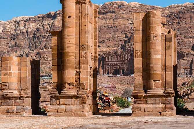 Petra 1-Day Tour from Eilat + FREE Traditional Lunch - Price and value: $215 plus the cash you pay at the border