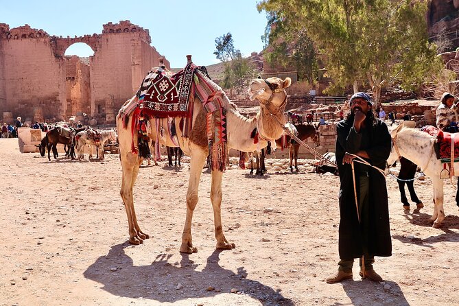 Petra 1-Day Tour from Tel Aviv with FREE Authentic Lunch - Royal Tombs and Petra Theater: When You Want More Than One Stop