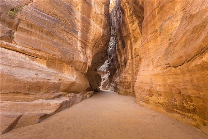 Petra and Wadi Rum 2 day Tour from Eilat - Should You Book This Petra and Wadi Rum 2-Day Tour?