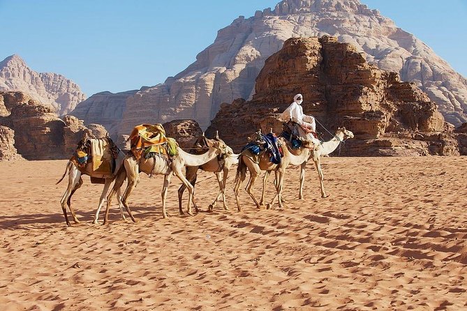 Petra & Wadi Rum 3 Days 2 Tour Nights from Eilat border - Wadi Rum night with Bedouin hospitality: sunset, BBQ dinner, and stars