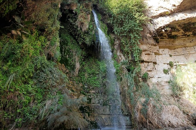 Private Day Tour in Masada and the Dead Sea - Stop 3: Ein Bokek Beach, floating with hotel-style amenities