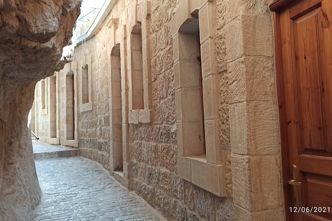 private Full-day Tour to Jericho + the Dead Sea - Zaccheus’ Tree: A Short Stop That Still Feels Personal