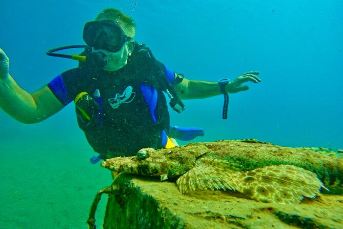 Private Scuba Diving Tour with Transportation and Guide - How the four hours usually feel, and why timing matters