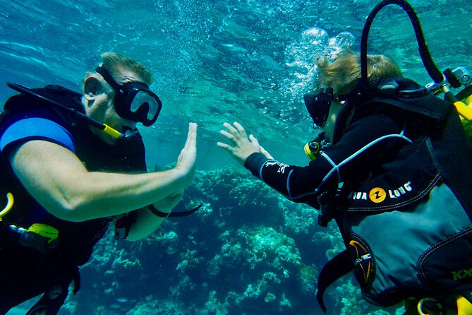 Private Scuba Diving Tour with Transportation and Guide - Gear is included, but insurance is your call