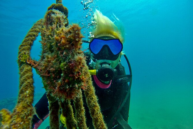 Private Scuba Diving Tour with Transportation and Guide - Price and value in Eilat, worth it for private time