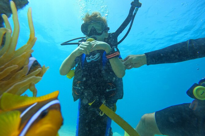 Private Scuba Diving Tour with Transportation and Guide - Photos, videos, and remembering the wrecks correctly