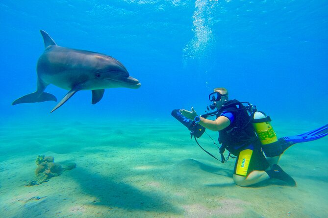 Private Scuba Diving Tour with Transportation and Guide - Who should book this private Eilat scuba session