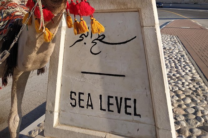 Private Tour: Dead Sea and Masada - Private Tour Value: What You’re Paying For at $475 per Group