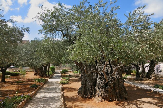 Private Tour : Jerusalem Old city day trip from Jerusalem - Mount of Olives to Gethsemane: starting with the view