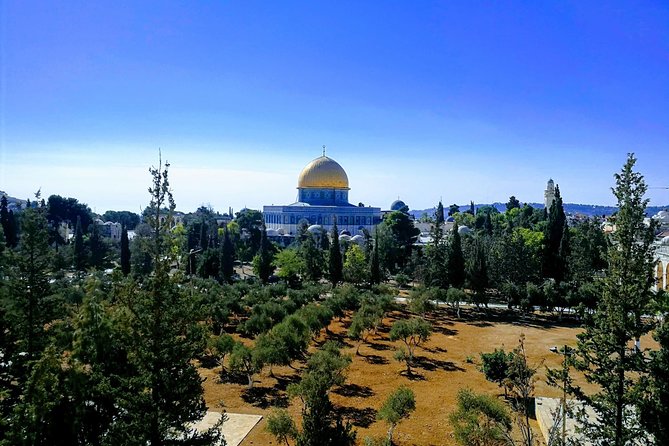Private Tour: Old City of Jerusalem Christianity Tour - Western Wall, then the Cardo and bazaar browsing at walking speed