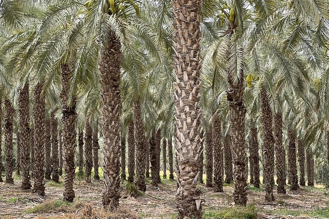 Private Tour to Nazareth & Sea of Galilee & Jordan River Yardenit - Exclusive - What to pack, and how to stay comfortable on a long sacred day