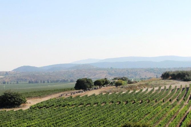Private wine tour of Northern Israel - Key Things I’d Mark on Your Map