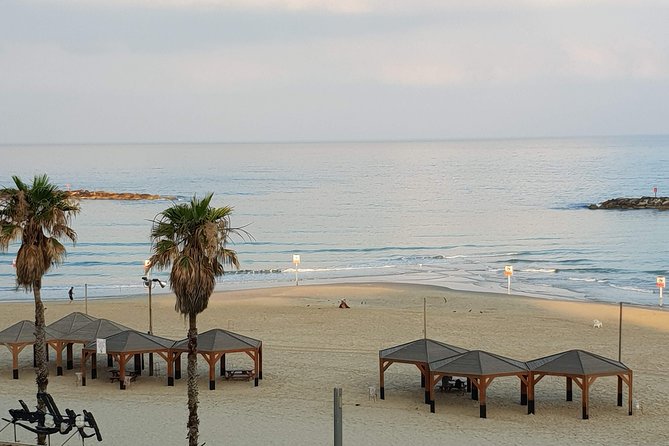 Privet walking tour in Tel Aviv-Yafo - Price and Value for a Group up to 5