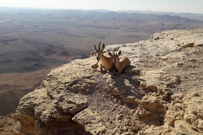 Rappelling Down the Ramon Crater Cliff - Price and value: what $115 buys you in real terms