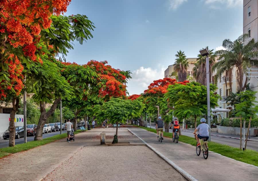 Tel Aviv: Carmel Market & Tel Aviv Tour with Tastings - Key highlights you will actually feel