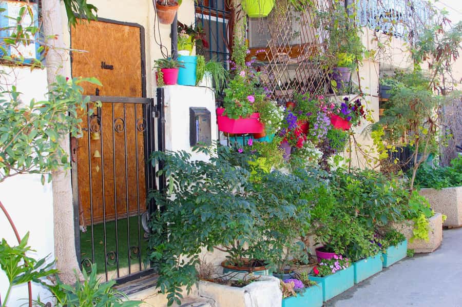 Tel Aviv: Florentin Saturday Walking Tour - Florentin murals, indie cafés, and the creative-studio vibe