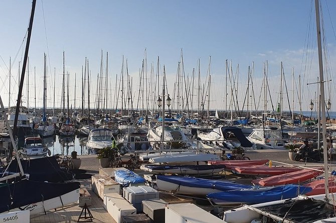 Tel Aviv Highlights Bike Tour - Riding the White City boulevard and UNESCO Bau House buildings