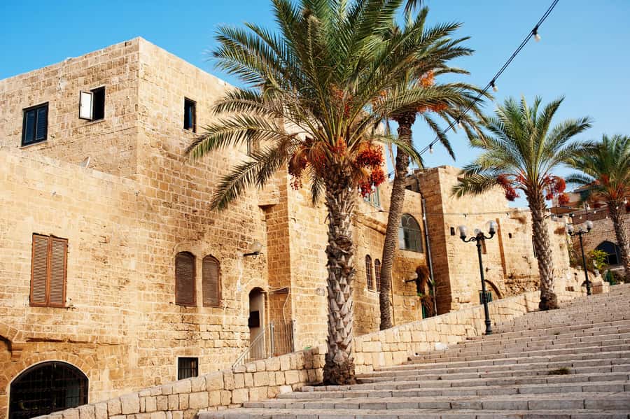 Tel Aviv: Jaffa Half-Day Walking Tour - Flea Market Energy, Old Port Photos, and Finishing at Park HaTachana