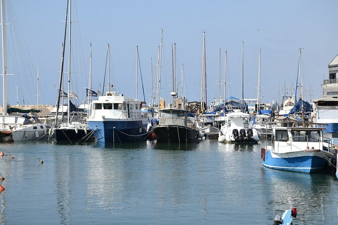 Tel Aviv; Jaffa Old City, Port & Shuk Hapishpishim Walking Tour - Shuk Hapishpashim Market Walk and the Flea Market Feel