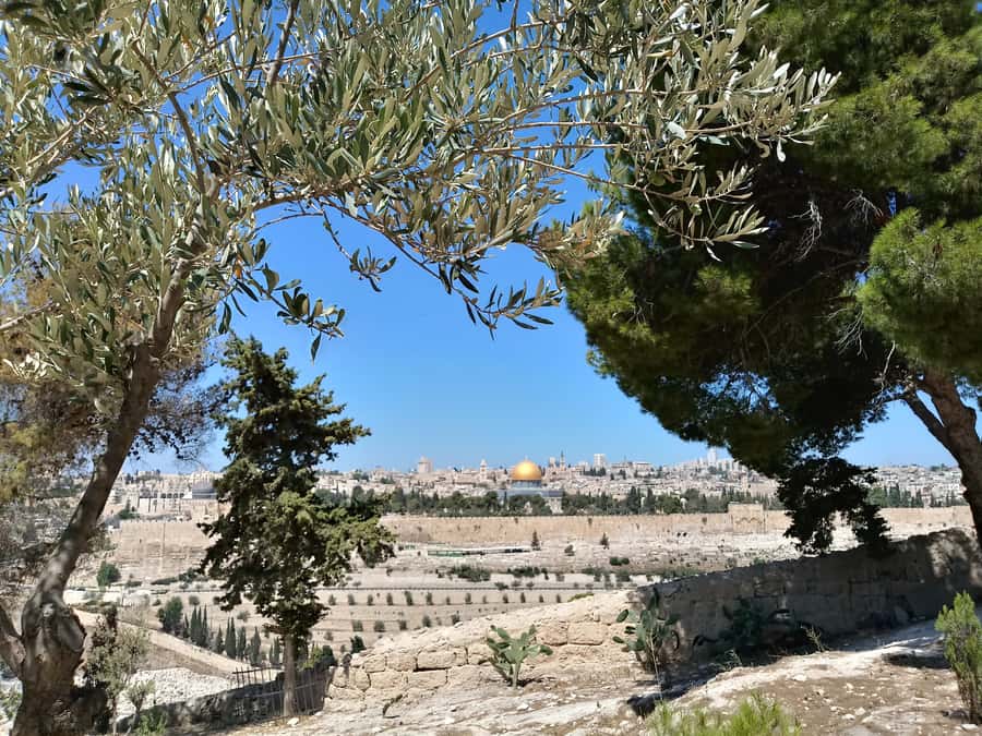 Tel Aviv: Jerusalem, Bethlehem & Dead Sea - Dead Sea finish: floating plans, salty reality, and short time
