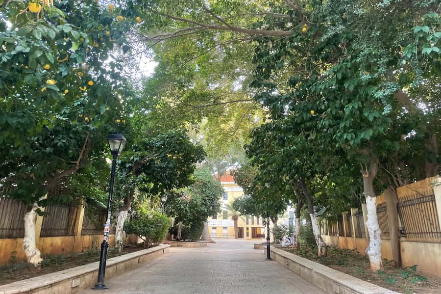 Tel Aviv: Neve Tzedek Cultural Walking Tour - Where to meet and how the tour sets your rhythm