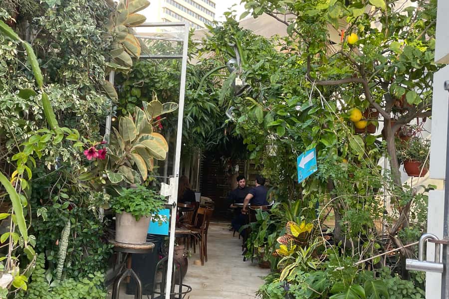 Tel Aviv: Neve Tzedek Cultural Walking Tour - Art stops: paintings, ceramics, jewelry, textiles, and photography