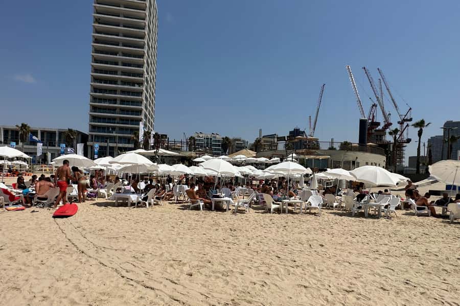 Tel Aviv: Professional Surfing Lessons at Beach Club TLV - When to Go: Waves, Seasons, and Beach Club Crowds