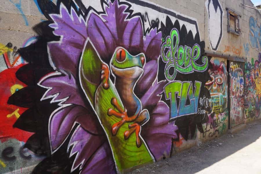 Tel Aviv: Street Art and Graffiti Tour - How the tour teaches graffiti styles and artist roles