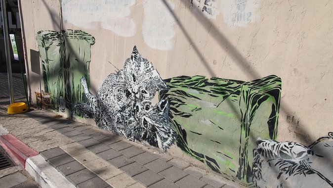 Tel Aviv Street Art Tour - Meeting at Poli House Tel Aviv Hotel, then heading into Florentine