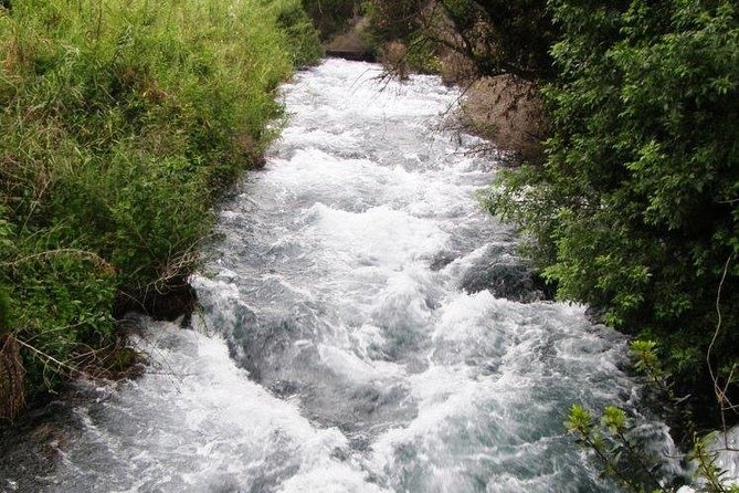 Tel Dan and Baniyas National Parks Private Tour - Who should book this private northern Israel day