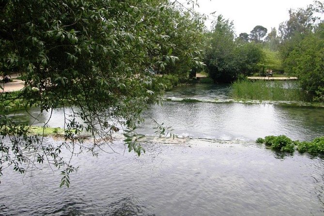Tel Dan and Baniyas National Parks Private Tour - Should you book this Tel Dan, Banias, and Nimrod Fortress tour?