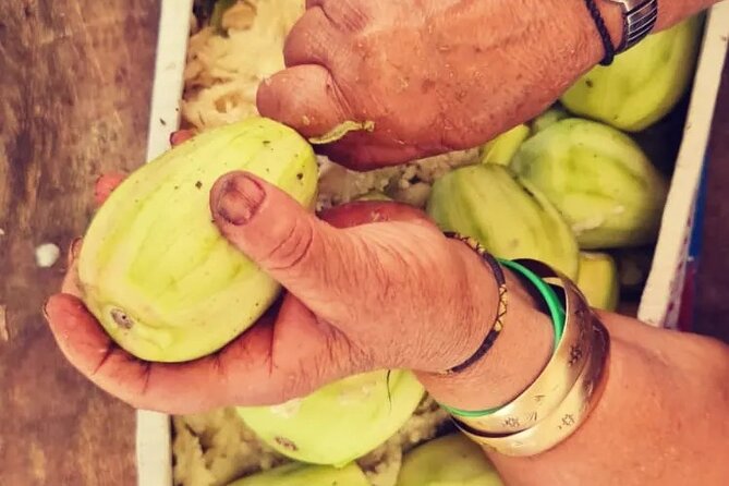VIP Culinary Tour in Haifa - Key highlights I think you’ll care about
